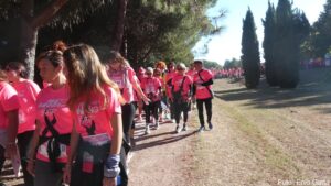 Pink Ranning