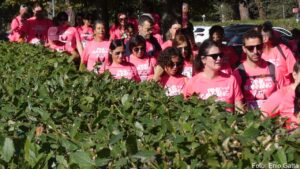 Pink Ranning