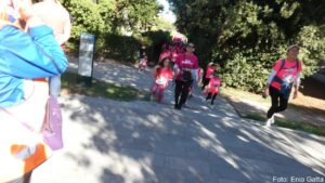 Pink Ranning