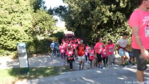 Pink Ranning