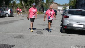 Pink Ranning